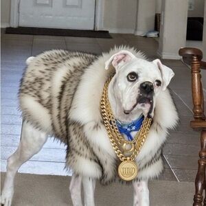 Luxurious Faux Fur Dog Coat with Gold Chain